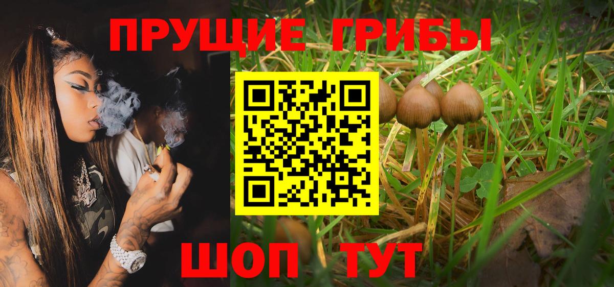 Псилоцибиновые грибы Psilocybine cubensis  Вход с VPN  дарнет шоп  Заринск 